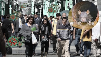 Hantavirus: Cómo se transmite y qué riesgo representa actualmente para el Perú, según exviceministro de Salud
