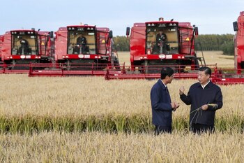 A partir de la primera