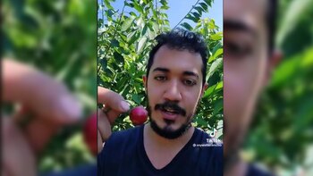 Mexicano aseguró que gana 3