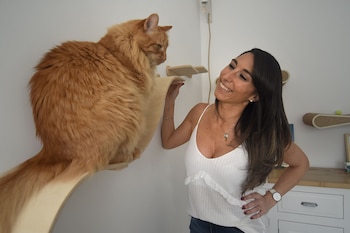 "Yo tengo empatía, me resulta