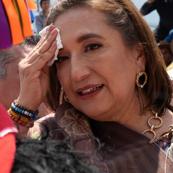 La senadora aseguró que la