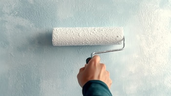 Gracias al desarrollo de alternativas,