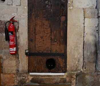 La catedral tiene registro de