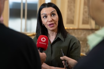 La consejera de Educación, Ciencia y Universidades de la Comunidad de Madrid, Mercedes Zarzalejo.