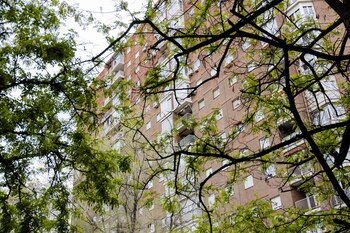 Imagen 57IKX3T5UVD7VIPFBEW4QMA73I