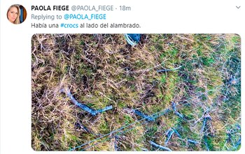 Otro de los tuits escritos por la esposa de Marcelo Balcedo