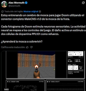 Un desarrollador usó el cerebro digital de una mosca para jugar Doom.
