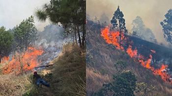 Dos fotografías de un incendio en una ladera boscosa con llamas en el pasto seco, árboles de pino, humo y una persona tendida en el suelo.