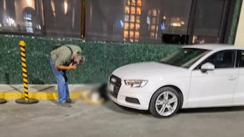 Una de las víctimas del