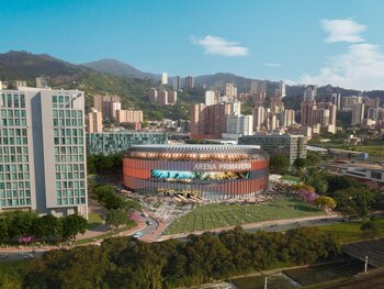 La SAE anunció la venta