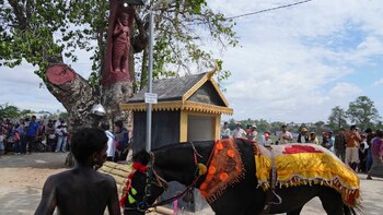 Cómo es el “He Neak