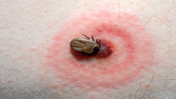 Los datos muestran que las