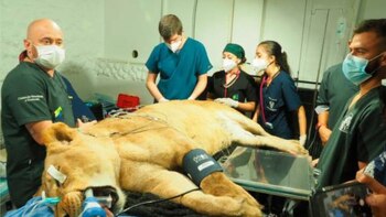 Con pronóstico reservado permanece emblemática