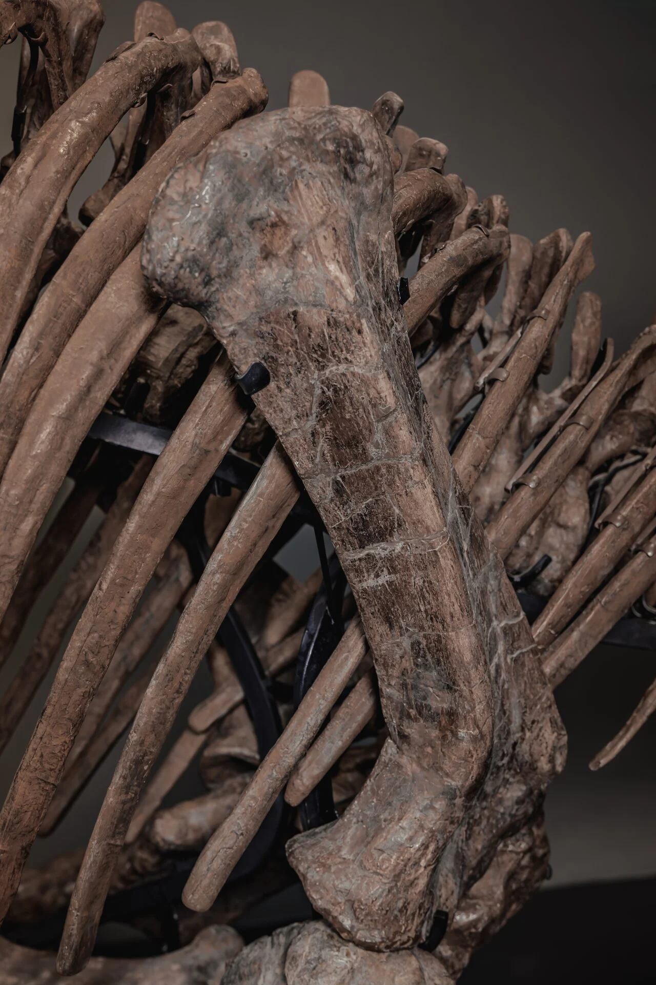 La pieza restaurada en Alemania permaneció tres décadas en un museo estadounidense