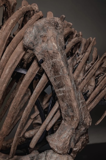 La pieza restaurada en Alemania