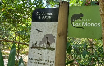 En medio del bosque de