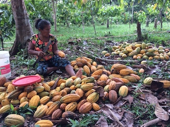El titular del Midagri, Felipe Meza Millán, destacó el efecto de estas medidas en la mejora de la economía de las familias productoras.