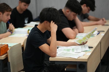 Un estudiante repasa los apuntes antes de la PAU. (Europa Press)