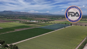La granja vinculada al brote de ciclosporiasis llevaba siete años sin una inspección de la FDA