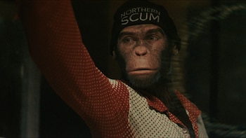 La película combina música, efectos