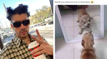 l cantante puertorriqueño, Bad Bunny,