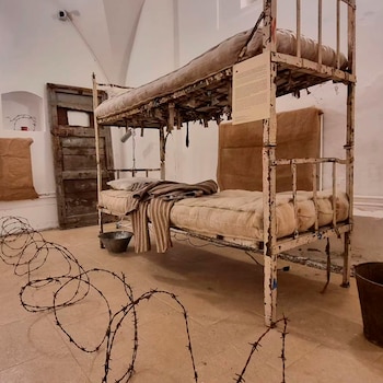 Turcanu reunió un grupo y