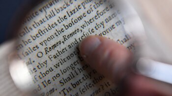 Shakespeare es la nueva víctima