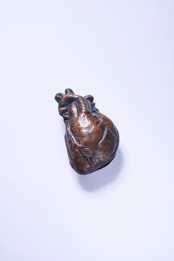 Las partes del cuerpo son