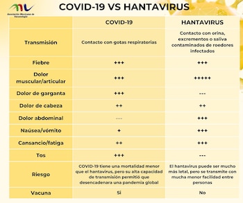 Los síntomas iniciales del hantavirus pueden confundirse con COVID-19, influenza o dengue debido a la similitud clínica. | (Crédito: Facebook/Asociación Mexicana de Vacunología)