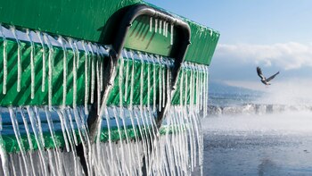 Unos voluntarios retiran casi una tonelada de basura de las aguas del lago Lemán