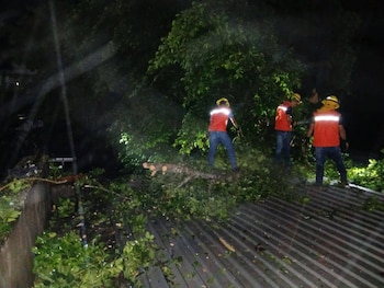 Vista aérea nocturna de tres trabajadores en chalecos naranjas y cascos amarillos, removiendo ramas de un árbol caído sobre un tejado de metal