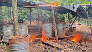 Fuerza Aérea Colombiana y Policía Nacional destruyeron 14 laboratorios de droga en Tumaco, Nariño