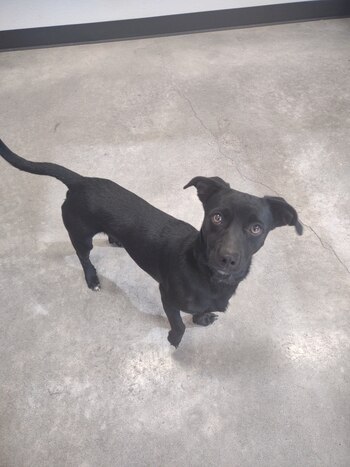 Eddie encontró rápidamente un hogar