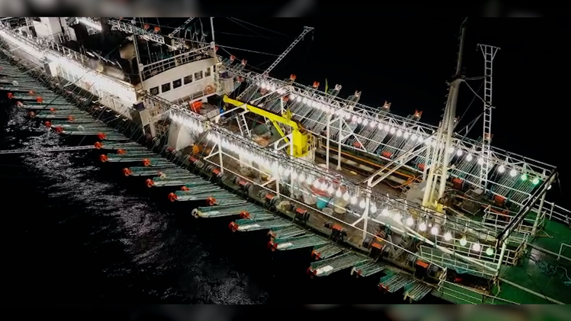 Cientos de embarcaciones pescan calamar frente a aguas argentinas