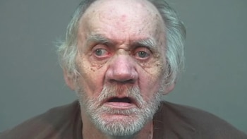 Retrato frontal de un hombre mayor con barba canosa, cabello gris despeinado y camisa marrón sobre un fondo gris