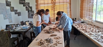 Análisis de materiales. Foto DSA