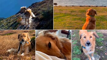 River sufrió de graves secuelas