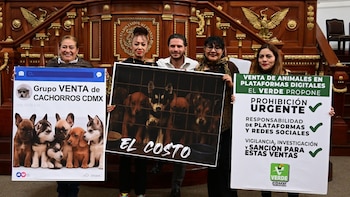 En Ciudad de México el