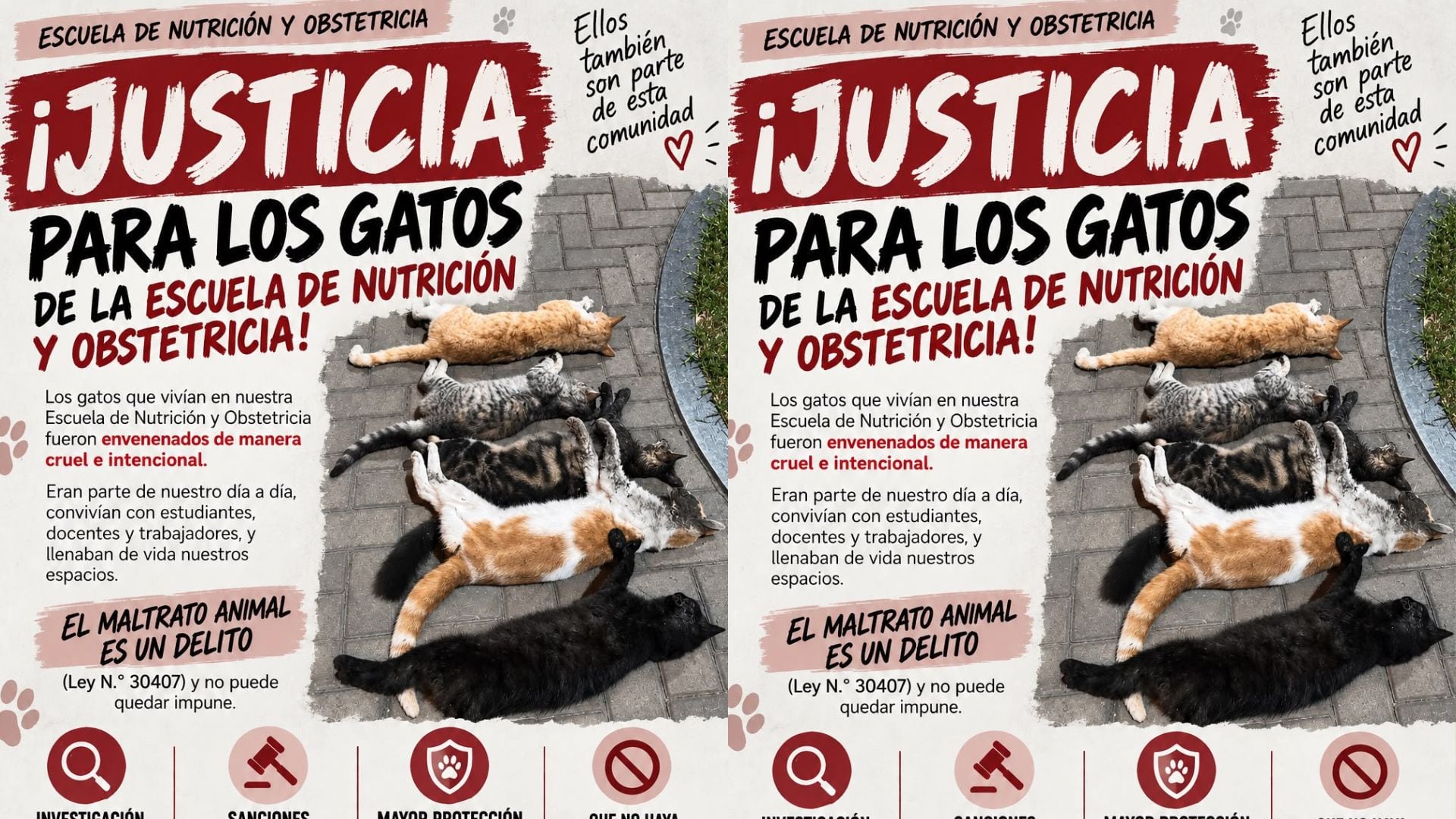 Un afiche de la comunidad universitaria describe una muerte cruel e intencional de seis animales, recuerda que el maltrato está penado por ley y solicita medidas urgentes en el campus.