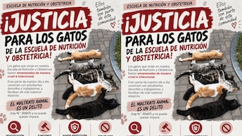 Un afiche de la comunidad universitaria describe una muerte cruel e intencional de seis animales, recuerda que el maltrato está penado por ley y solicita medidas urgentes en el campus.