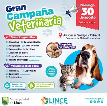 La jornada se desarrollará de 9 a. m. a 1 p. m. en la avenida César Vallejo, cuadra 11, cruce con el jirón Mateo Pumacahua - Créditos: Municipalidad de Lima.
