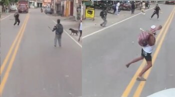 Un grupo de vándalos lanzó