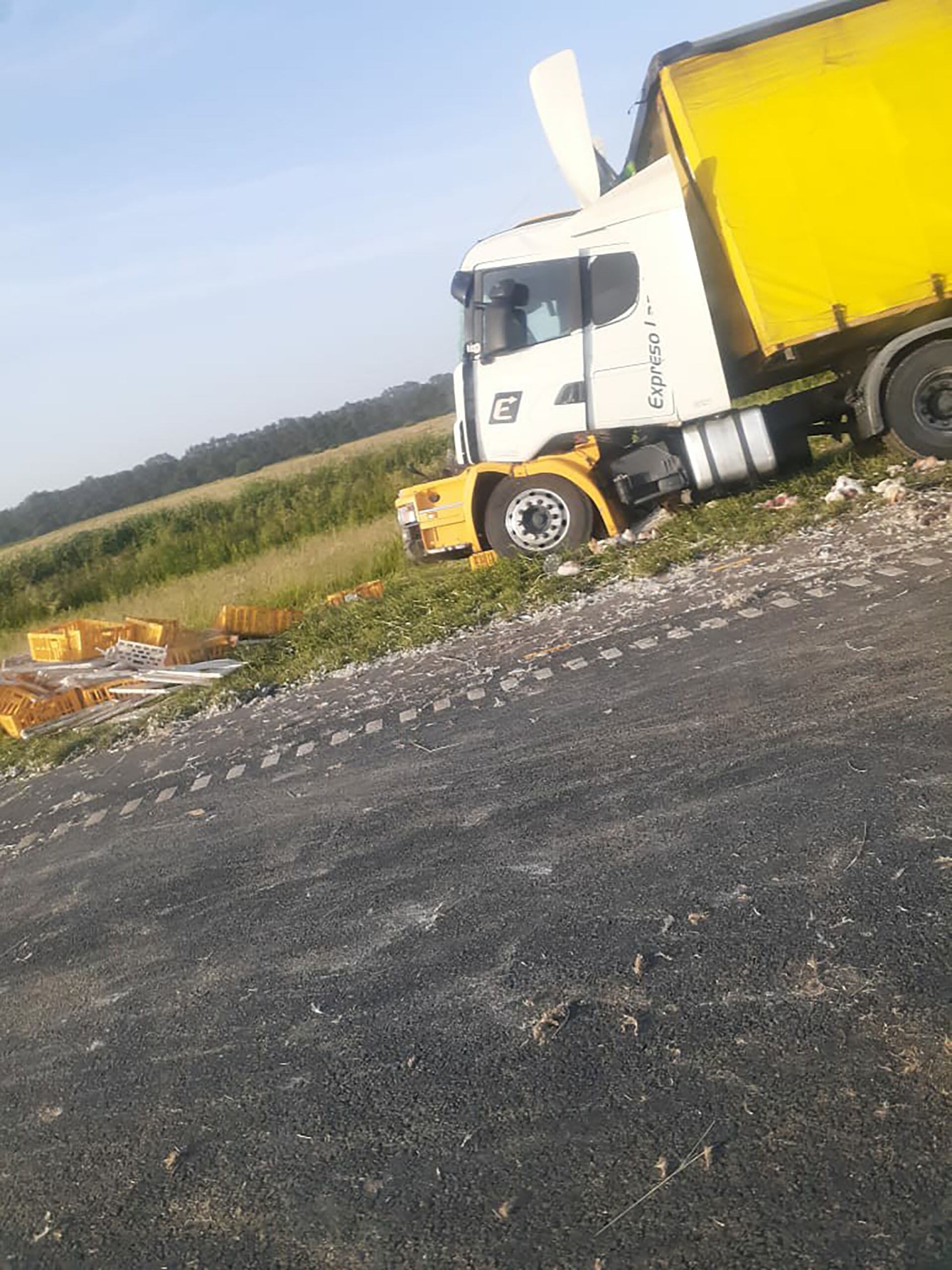 El Scania que chocó de atrás al otro camión en la Ruta 9, sentido a Buenos Aires (Facebook Tu Radio Baradero)