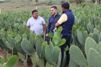 El exsecretario de seguridad Ciudadana