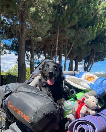 En la Patagonia argentina (unachicanomada)