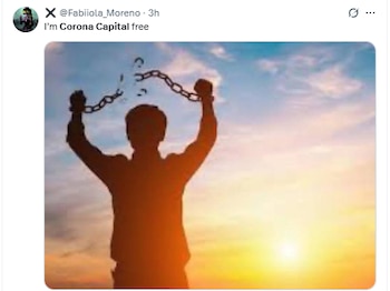 Memes Corona Capital
