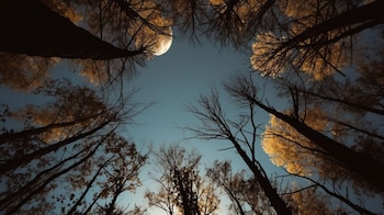 La luna muestra una parte distinta de su cara cada semana (Imagen Ilustrativa Infobae)