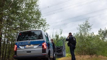 Desactivados 21 explosivos cerca de líneas de alta tensión en Alemania en la última semana