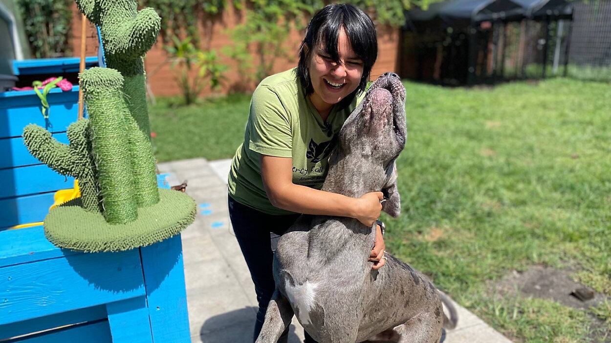 El refugio Mercy Full Project en Tampa se ha convertido en un apoyo clave para mascotas abandonadas por la deportación de sus dueños inmigrantes en Florida (Captura de video: Bay News 9).
