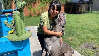 Un refugio de Florida protege a las mascotas de inmigrantes deportados